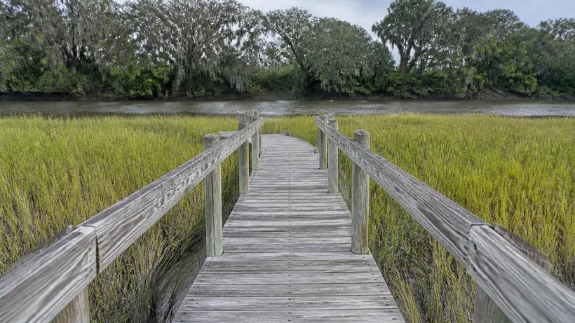 Timber dock walkway with railings running out across spartina marsh toward a tidal creek and a wooded far bank