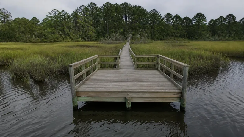 Railed pierhead platform at the creek end of a narrow timber walkway running back across the marsh