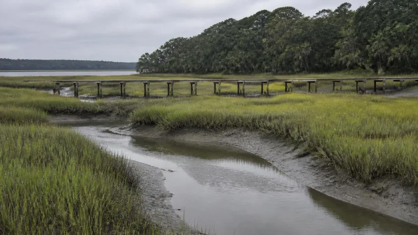 Broad spartina saltmarsh at low tide with a winding tidal creek and exposed pluff mud, a dock walkway crossing in the distance